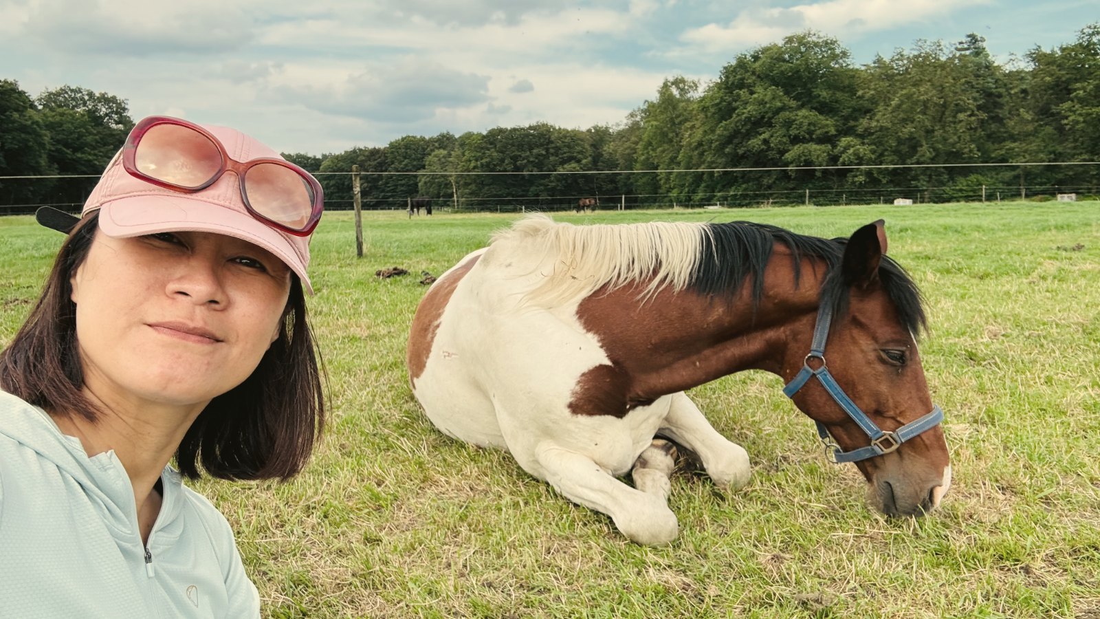 Aling naast een rustend paard in een wei — het paard ligt rustig en op zijn gemak in haar aanwezigheid